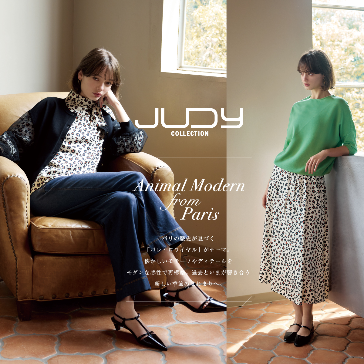 JUDY COLLECTION