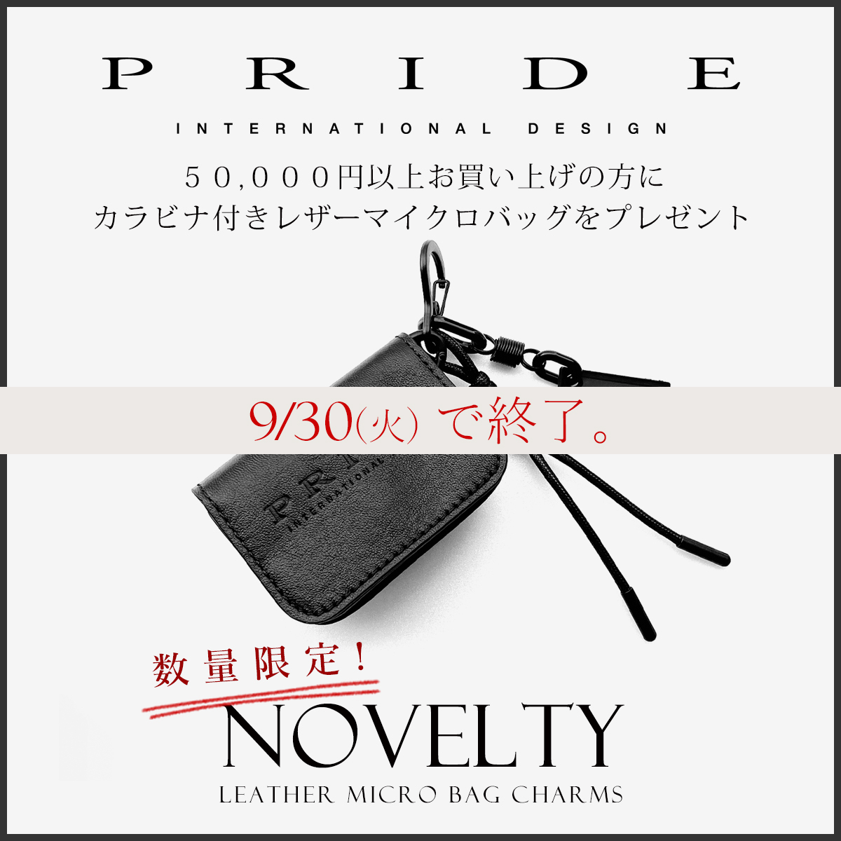(copy)PRIDE ノベルティ フェア カラビナ付き マイクロバッグ プレゼント！