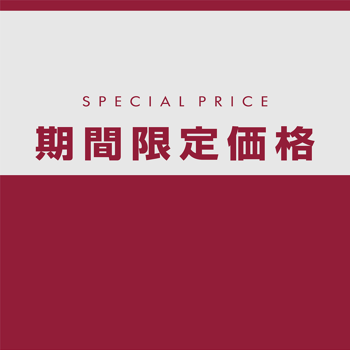 (copy)期間限定価格　セール　SALE